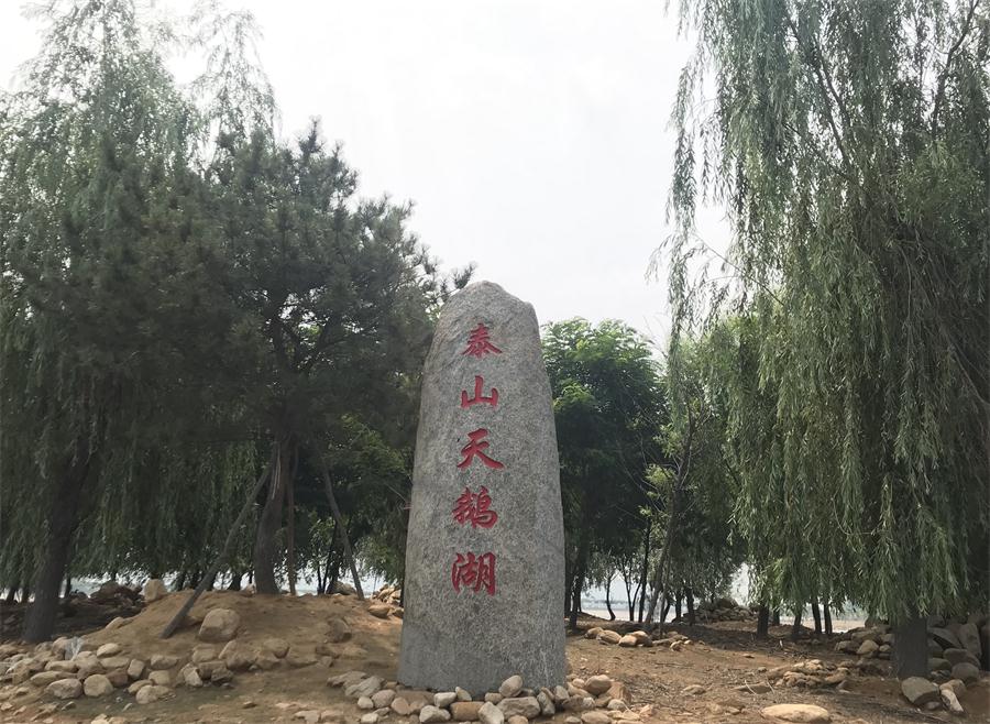 天鵝湖風(fēng)景區(qū)（泰山）速覽！(圖12)