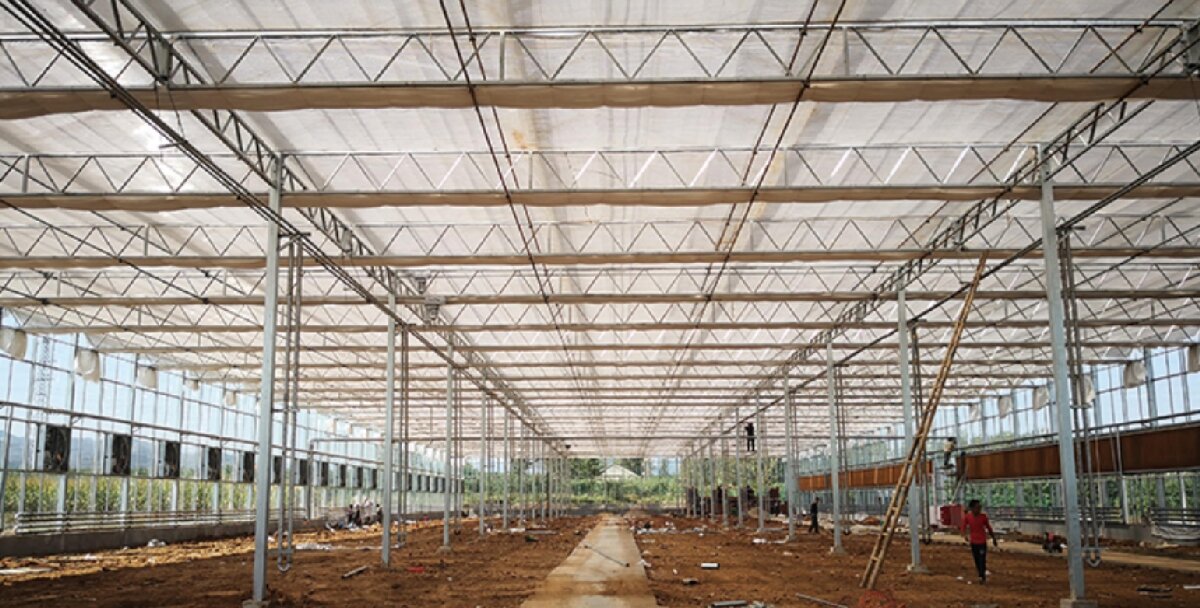 信橋鋼構(gòu)：打卡蒙陰農(nóng)業(yè)溫室大棚、青州黑牛養(yǎng)殖基地！(圖3)