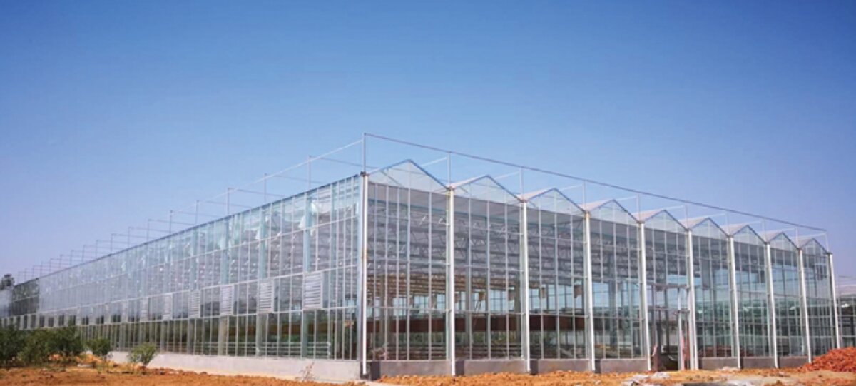 信橋鋼構(gòu)：打卡蒙陰農(nóng)業(yè)溫室大棚、青州黑牛養(yǎng)殖基地！(圖2)